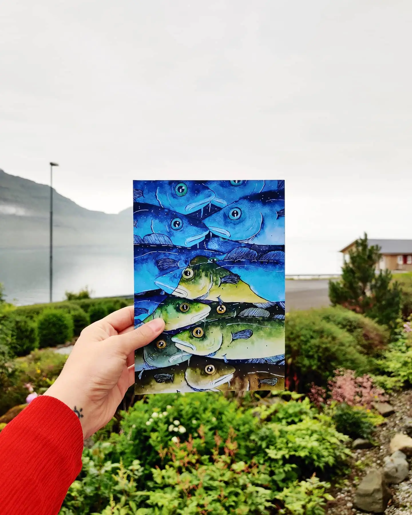 Fiskafjall